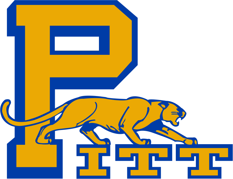 Pittsburgh Panthers 1974-1987 Primary Logo diy iron on heat transfer